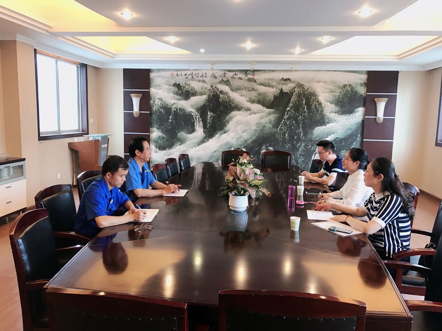 區(qū)政協(xié)副主席白卉來公司調研